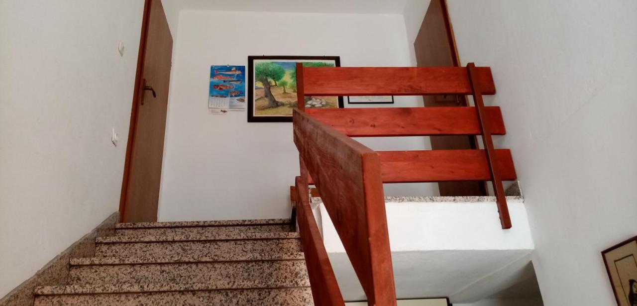 Apartments Bilo Near Primošten المظهر الخارجي الصورة