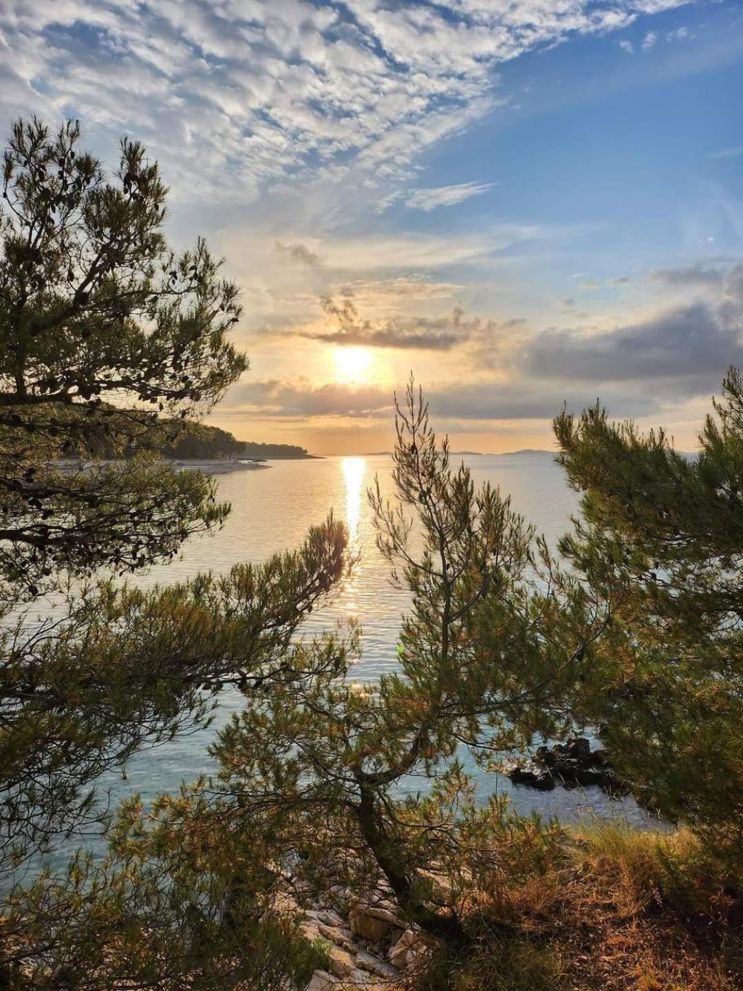 Apartments Bilo Near Primošten المظهر الخارجي الصورة