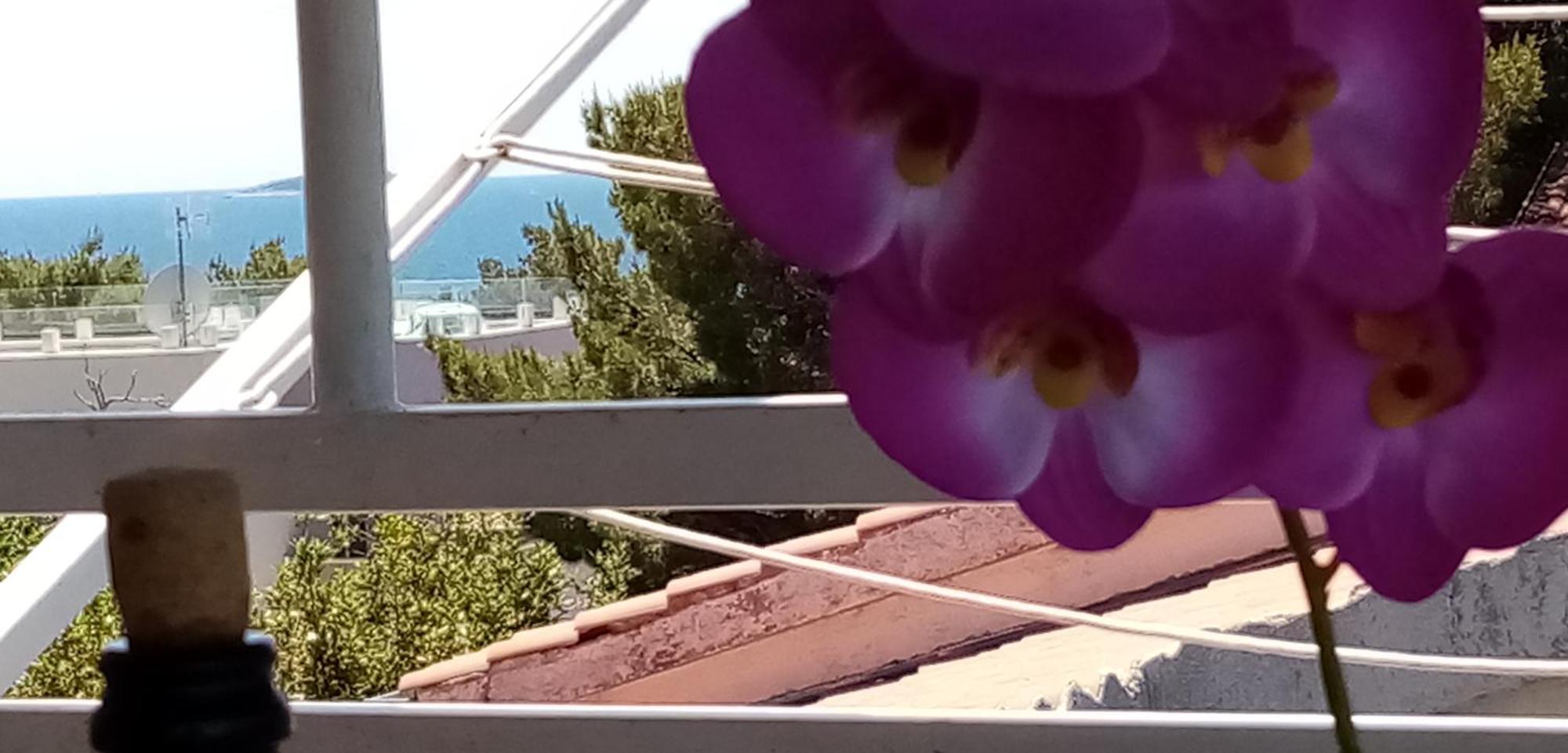 Apartments Bilo Near Primošten الغرفة الصورة