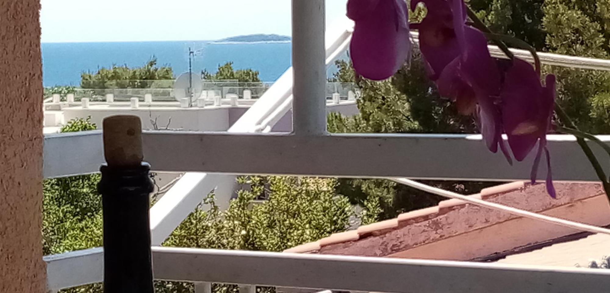 Apartments Bilo Near Primošten الغرفة الصورة