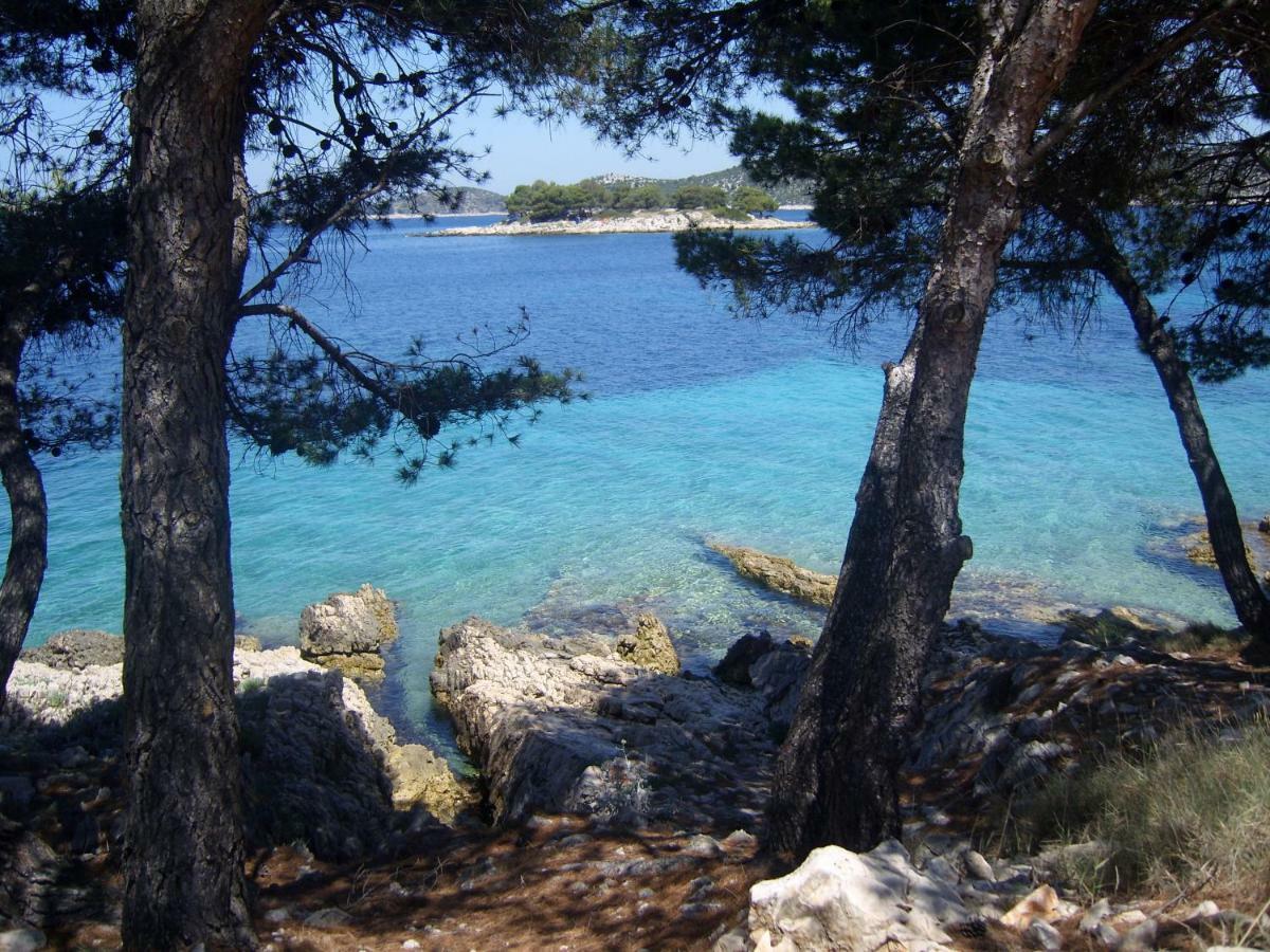 Apartments Bilo Near Primošten المظهر الخارجي الصورة